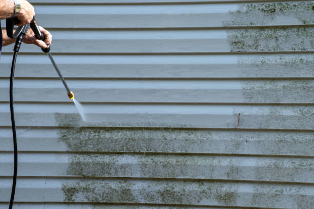 Best Same-Day Junk Removal Services  in Pahoa, HI