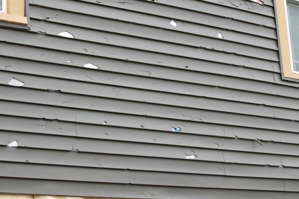 Best Garage Cleanout  in Pahoa, HI
