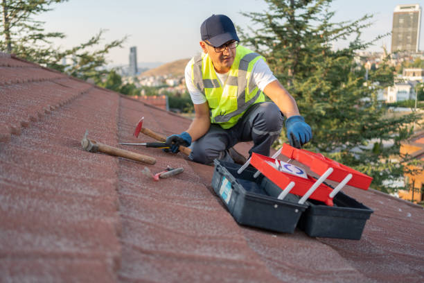 Best Construction Debris Removal  in Pahoa, HI